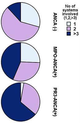 Different Types of ANCA Determine Different Clinical Phenotypes and Outcome in ANCA-Associated Vasculitis (AAV)